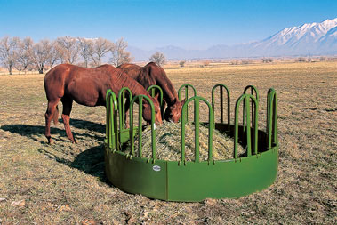 HorseRB