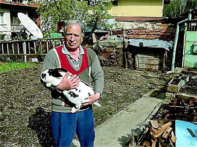 На каква възраст да ваксинирам зайчетата