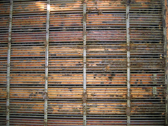 Hanemanova-reshetka_058