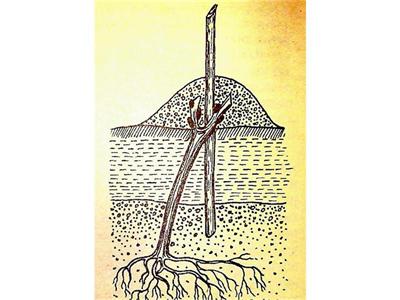 Работата за март не отлагайте за април