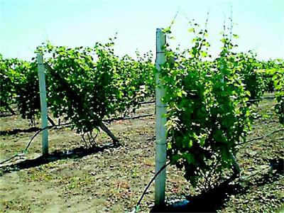 Калта да не стане на почвена кора