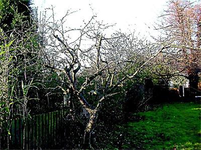 Кои са най-честите формировки