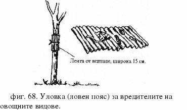 Ловни пояси