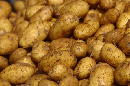 potatoes-kartofi