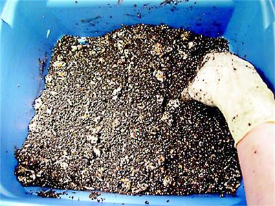 Наближава времето за разсадите